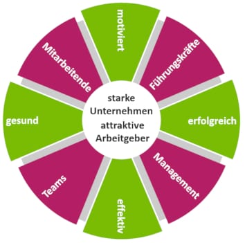 Umbrella_50 Gesundheitsmanagement, Konfliktmanagement und Potenzialmanagement