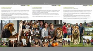 youccom smartLion GmbH Teambuilding Eventreihe